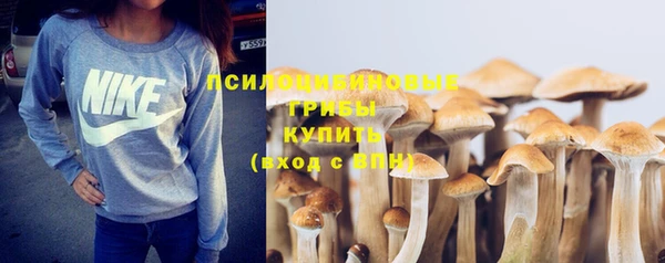 ешки Белая Холуница