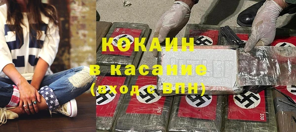 гидра Аша