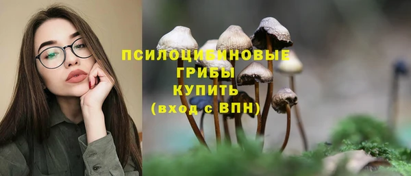 прущие крисы Ессентукская