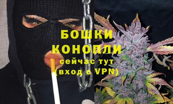 прущие крисы Ессентукская