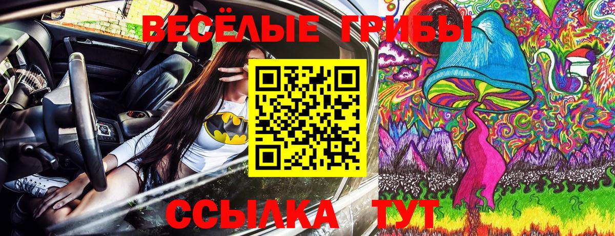 Псилоцибиновые грибы GOLDEN TEACHER  Галлюциногенные грибы мухоморы  Ессентуки 