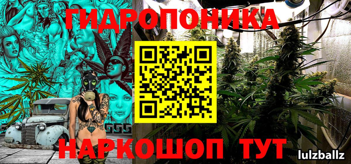 Бошки марихуана THC 21% Ессентуки